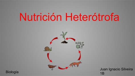 nutrición heterótrofa